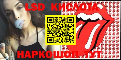 ПСИЛОЦИБИНОВЫЕ ГРИБЫ Кандалакша