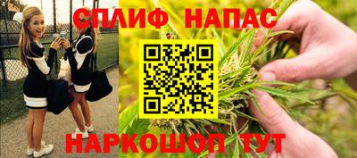 ПСИЛОЦИБИНОВЫЕ ГРИБЫ Кандалакша