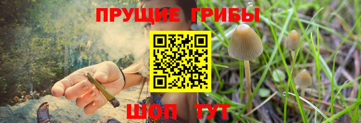 Кулебаки  купить наркотики цена  Галлюциногенные грибы GOLDEN TEACHER  Вход с VPN  Галлюциногенные грибы Magic Shrooms 